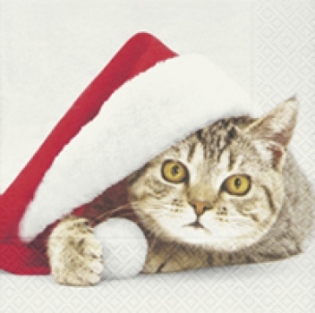 20 Servietten "Santa cat" 33 x 33 cm Weihnachten